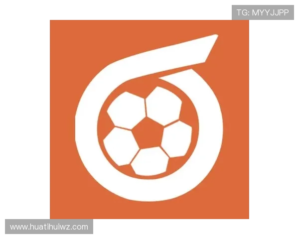 华体会体育官网app相关资讯：安全保障措施与用户隐私保护指南